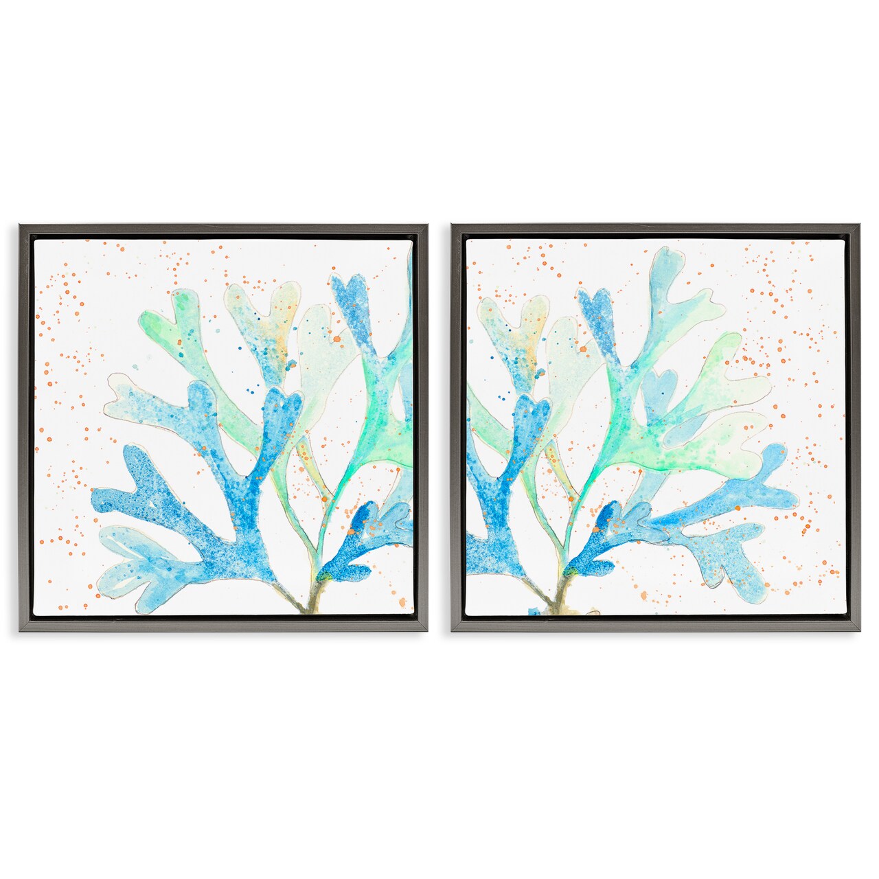 Stupell Industries Speckled Blue Green Coral 2 pc Framed Floater Canvas Wall Art Set Design by Patricia Pinto